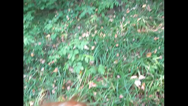 Блондинка сосет член на камеру в лесу